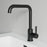 Black Brass Bathroom Faucet 2