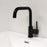 Black Brass Bathroom Faucet 4