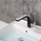 Chrome / Black Brass Bathroom Faucet 2