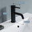 Black Brass Bathroom Faucet 4
