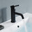 Black Brass Bathroom Faucet 2