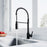 Black Brass Kitchen Faucet 1