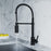 Black Brass Kitchen Faucet 6