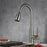 Brushed Nickel Brass Kitchen Faucet 1