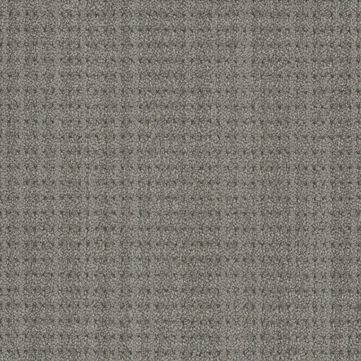 毛*様 4cディスペクター　高レート DreamWeaver Chelsea 3900 Telescope Pattern Polyester Carpet