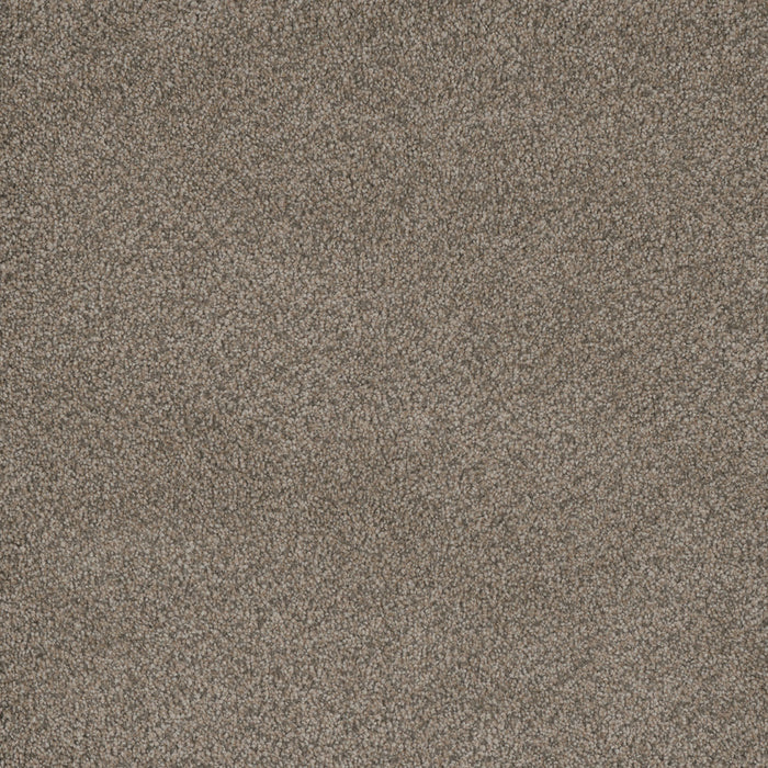 Monte Carlo II Polyester Umber 6004 Carpet Textured 1