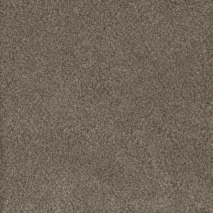 Monte Carlo I Polyester Fawn 6005 Carpet Textured 1