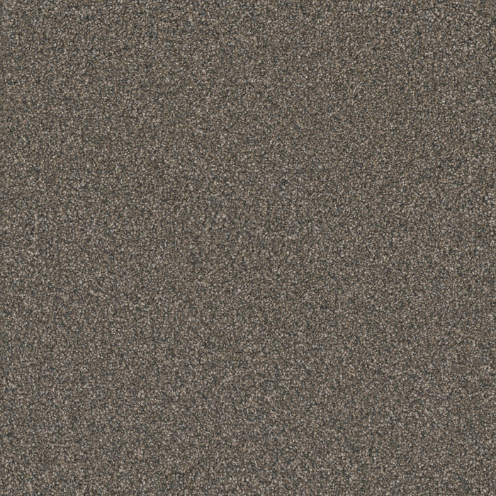 Monte Carlo II Polyester Bordeaux 6009 Carpet Textured 1
