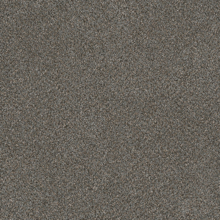 Monte Carlo II Polyester Meadow Dance 6049 Carpet Textured 1