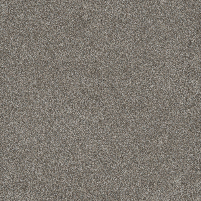 Monte Carlo I Polyester Dogwood 6077 Carpet Textured 1
