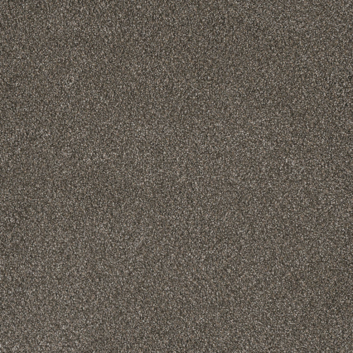 Monte Carlo II Polyester Rugby 6112 Carpet Textured 1