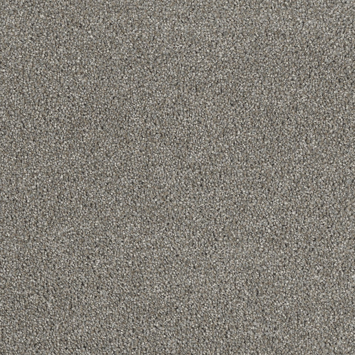 Hollywood Polyester Havana 330 Carpet Textured 1