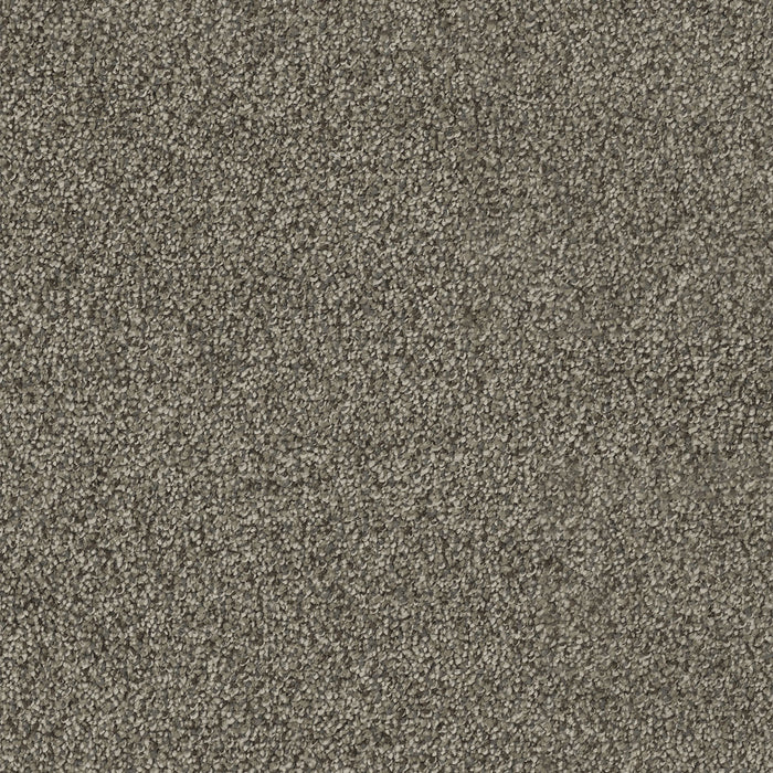 Hollywood Polyester Smoky Quartz 418 Carpet Textured 1