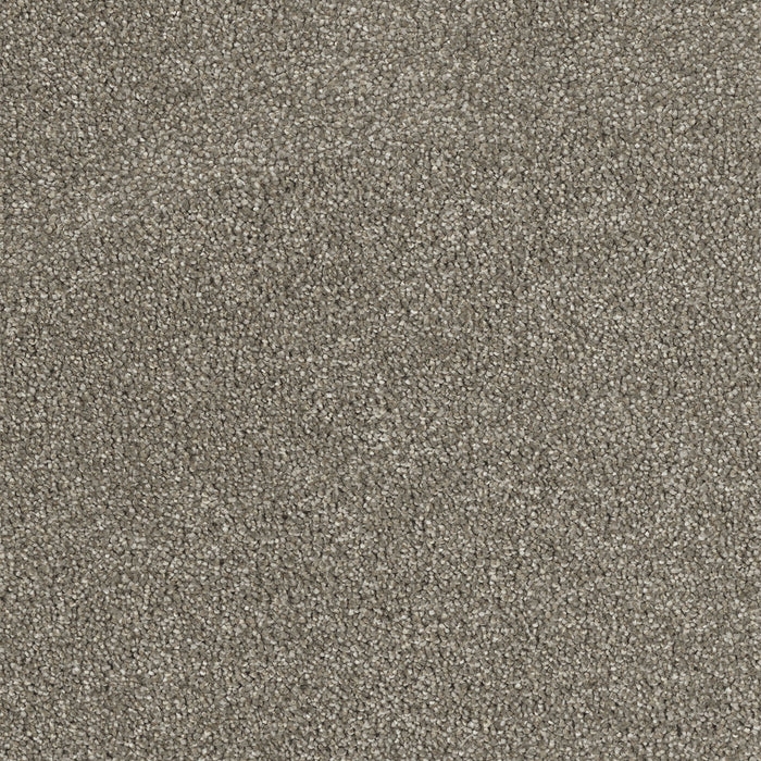 Hollywood Polyester Cinnamon Tea 528 Carpet Textured 1