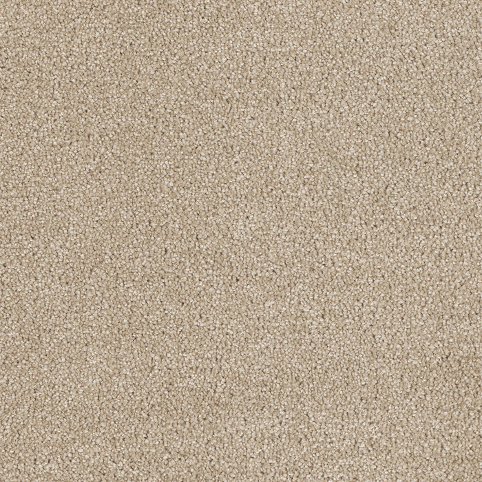 Hollywood Polyester Cashmere 580 Carpet Textured 1