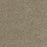 Hollywood Polyester Sienna Sand 680 Carpet Textured 1