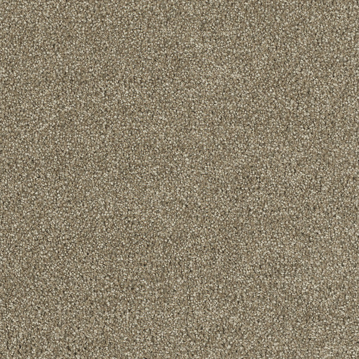 Hollywood Polyester Sienna Sand 680 Carpet Textured 1