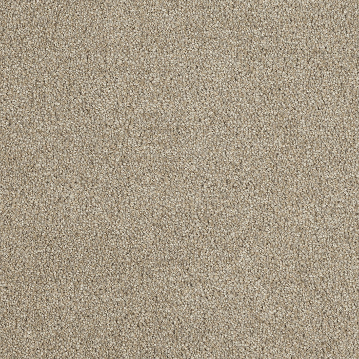 Hollywood Polyester Iceberg 733 Carpet Textured 1