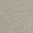Hollywood Polyester Orion 780 Carpet Textured 1