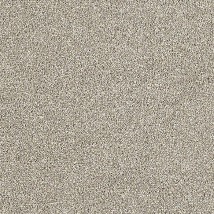 Hollywood Polyester Orion 780 Carpet Textured 1