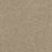 Hollywood Polyester Warm Teak 784 Carpet Textured 1
