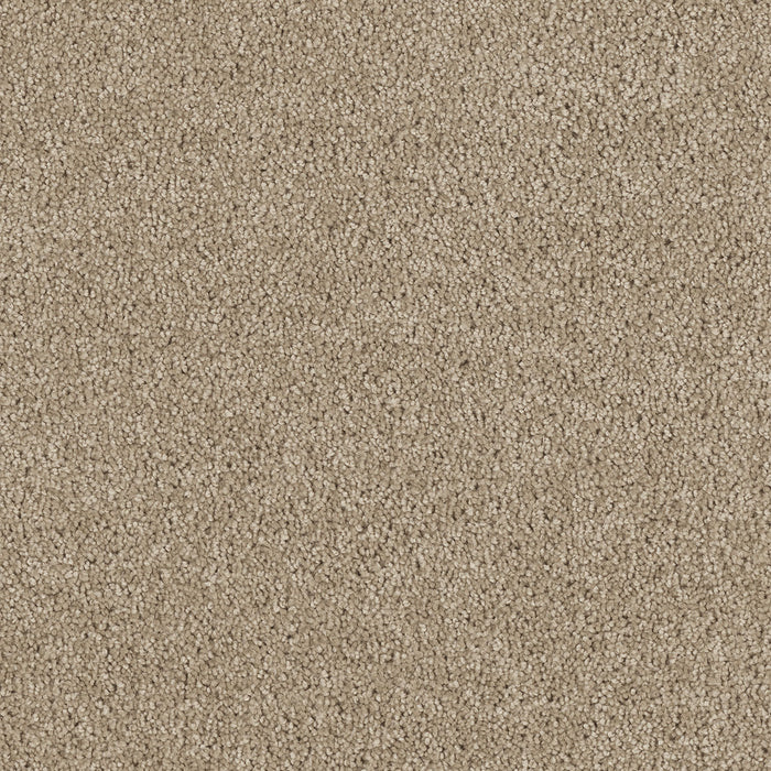 Hollywood Polyester Warm Teak 784 Carpet Textured 1
