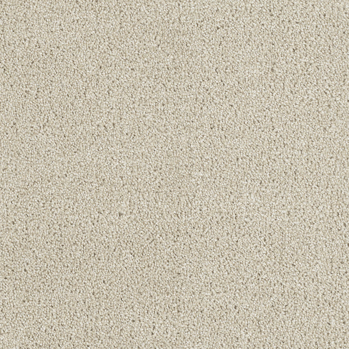 Hollywood Polyester Dusk 820 Carpet Textured 1