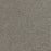 Hollywood Polyester Dark Platinum 889 Carpet Textured 1