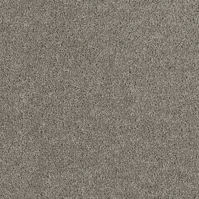 Hollywood Polyester Dark Platinum 889 Carpet Textured 1