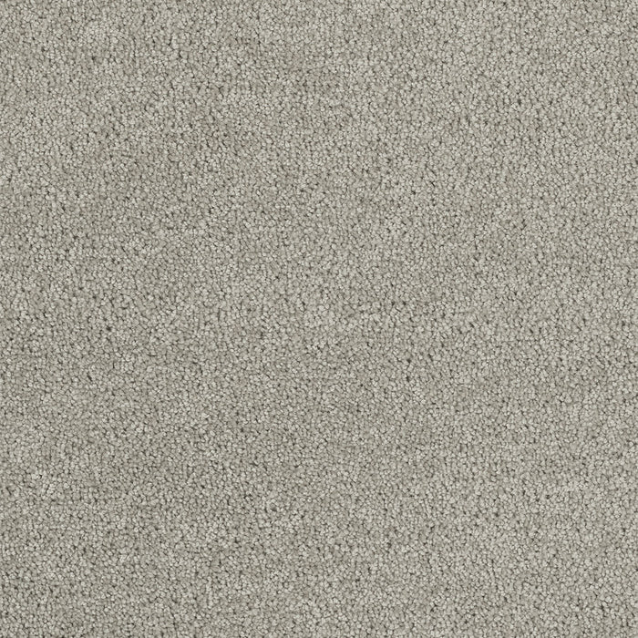 Hollywood Polyester Icicle 910 Carpet Textured 1