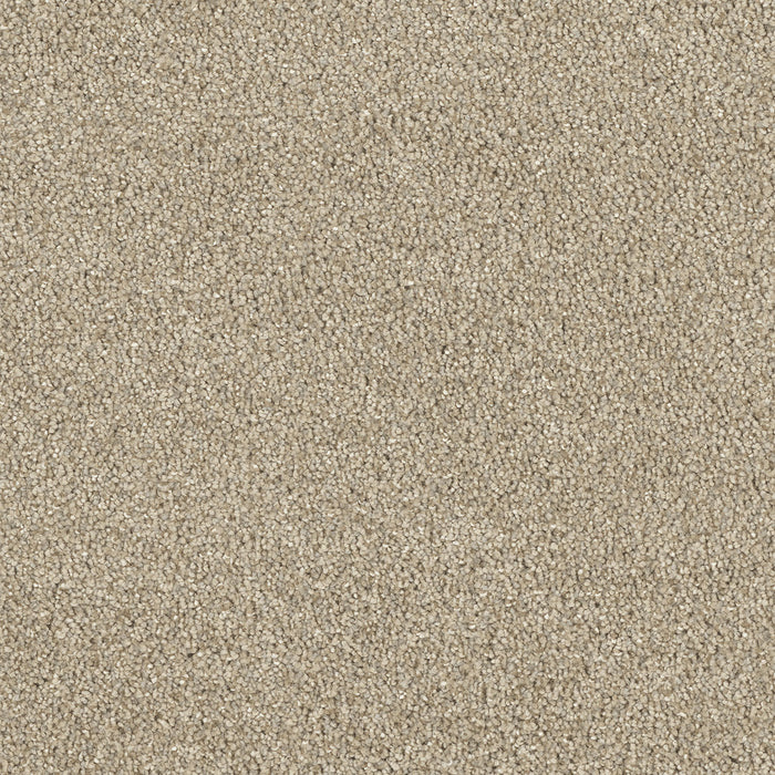 Hollywood Polyester Oyster Shoal 912 Carpet Textured 1