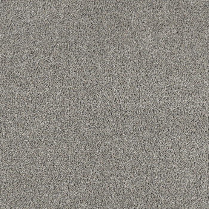 Hollywood Polyester Embers 933 Carpet Textured 1