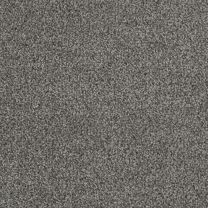 Hollywood Polyester Pavilion 958 Carpet Textured 1