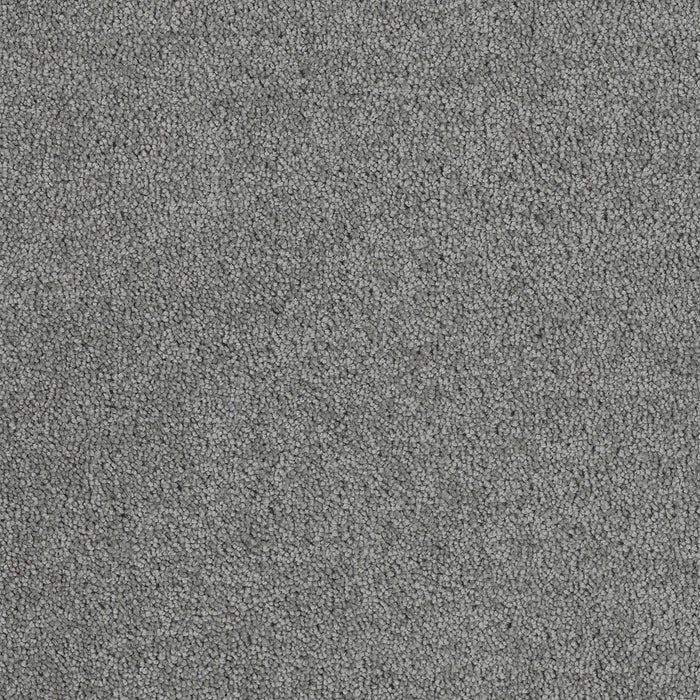 Hollywood Polyester Armor 968 Carpet Textured 1