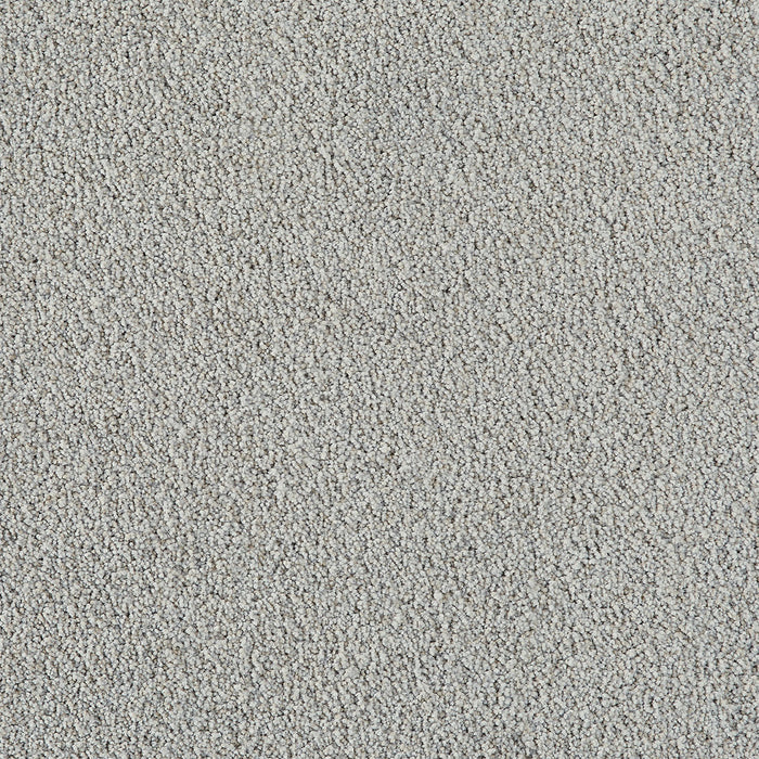 Pretty Penny III Polyester Lotus 2663 Carpet Textured 1