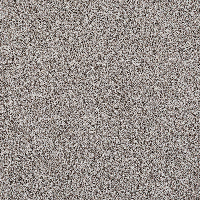 Pretty Penny II Polyester Kenya 2750 Carpet Textured 1