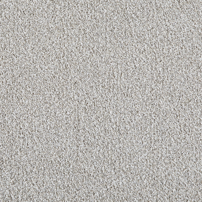 Pretty Penny II Polyester Iridescence 2752 Carpet Textured 1