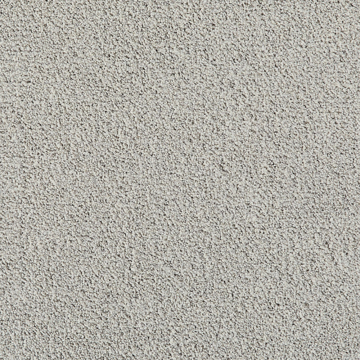 Pretty Penny I Polyester Nimbus 2838 Carpet Textured 1