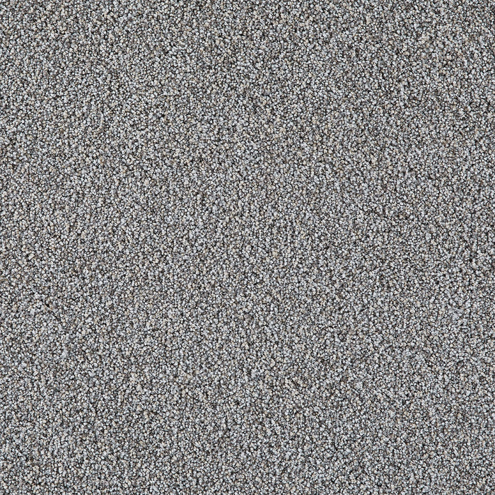 Pretty Penny II Polyester Mellow 2989 Carpet Textured 1