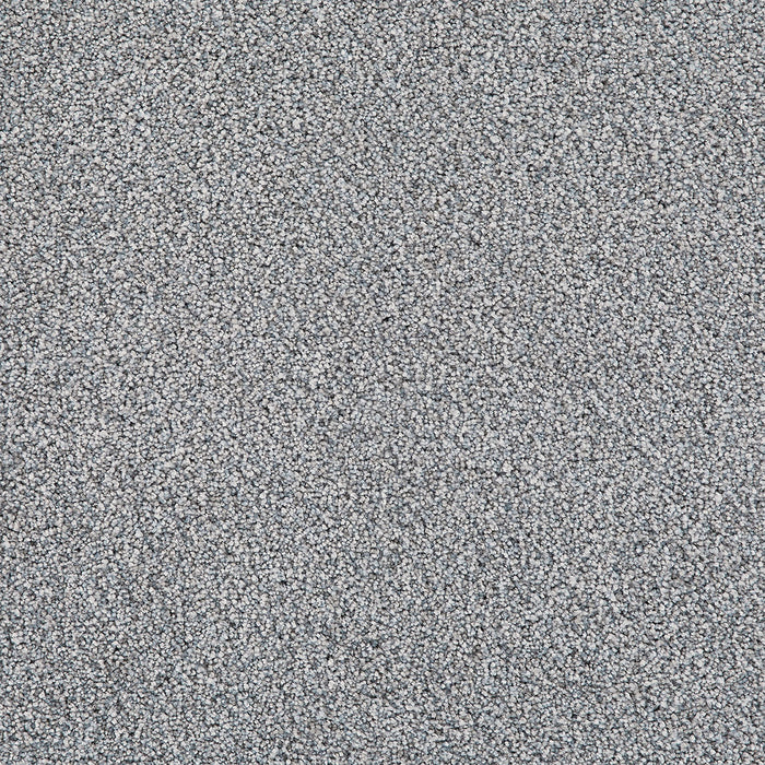 Pretty Penny I Polyester North Star 4075 Carpet Textured 1