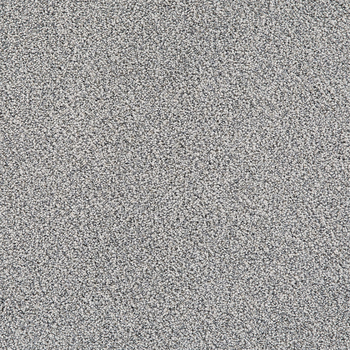 Pretty Penny I Polyester Legacy 4169 Carpet Textured 1