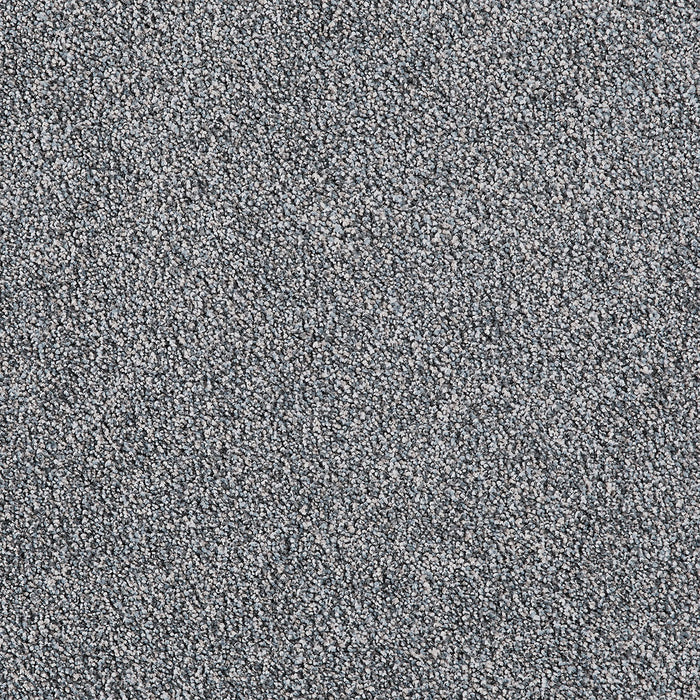 Pretty Penny I Polyester Sapphire 4222 Carpet Textured 1