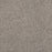 Pretty Penny II Polyester Spotlight 4334 Carpet Textured 1