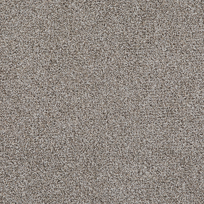 Pretty Penny III Polyester Tiramisu 4482 Carpet Textured 1