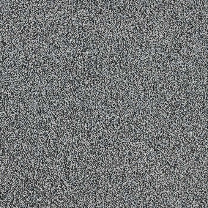 Pretty Penny I Polyester Wonderland 4599 Carpet Textured 1
