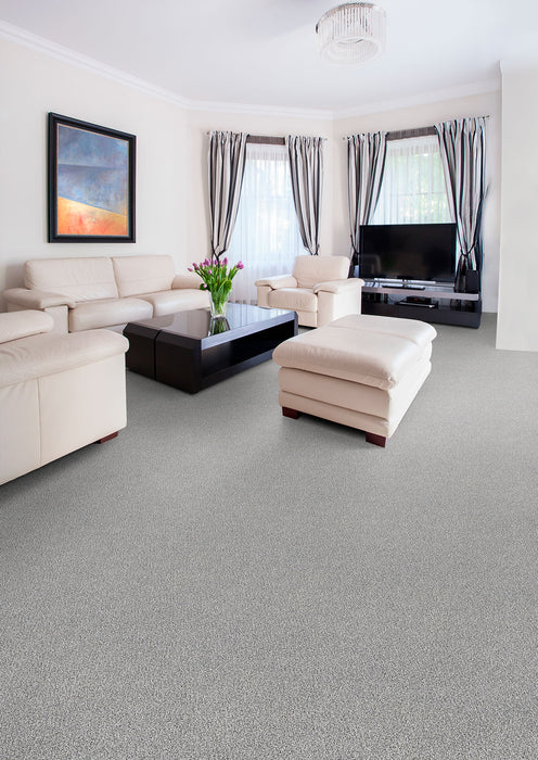 Pretty Penny II Polyester Legacy 4169 Carpet Textured 2