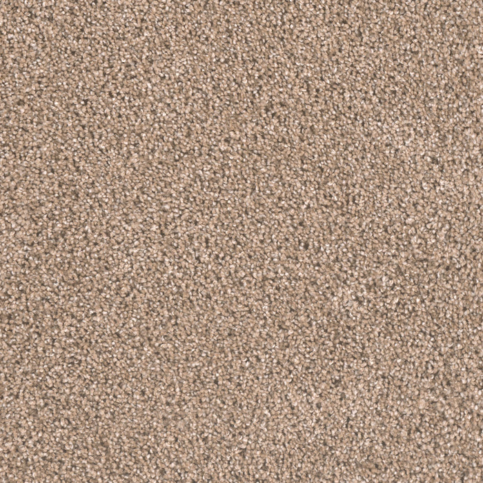 Metropolitan II Polyester Straw 551 Carpet Textured 1