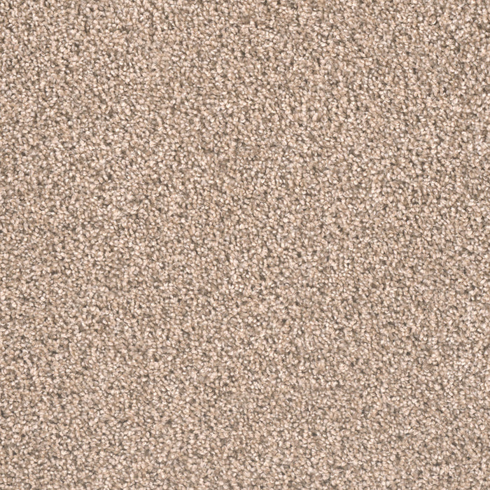 Metropolitan II Polyester Oxford 720 Carpet Textured 1