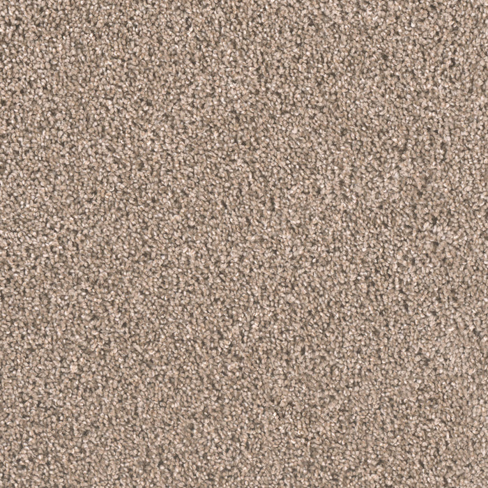 Metropolitan II Polyester Mocha 775 Carpet Textured 1