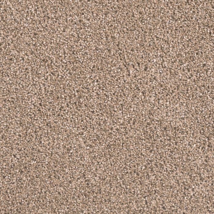 Metropolitan II Polyester Wicker 825 Carpet Textured 1